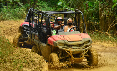 Jungle Buggies