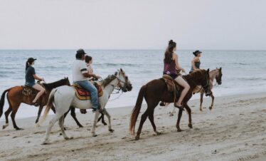 Horse Back Riding