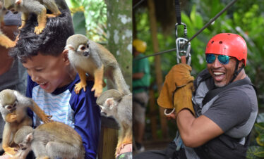 Zip Line & MonkeyLand Tour