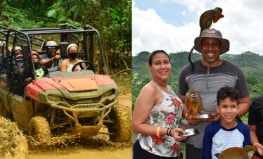 Jungle Buggies + Monkeyland