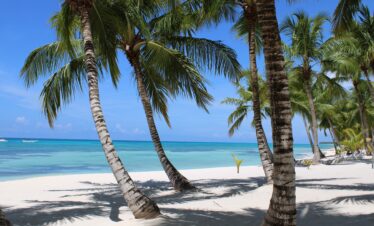 Saona Island Regular